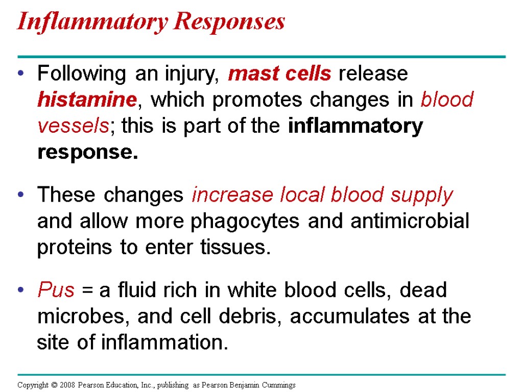 Inflammatory Responses Following an injury, mast cells release histamine, which promotes changes in blood